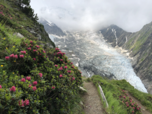 Bossons and Taconnaz glaciers