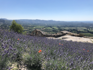 Les Baux de Provence, lavender fields