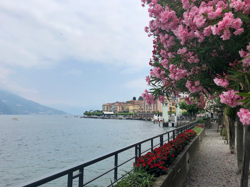 Bellagio in background with flowering trees in foreground