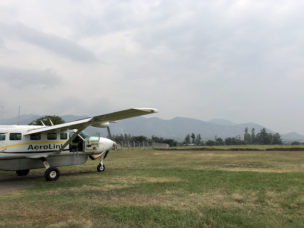 Bush plane