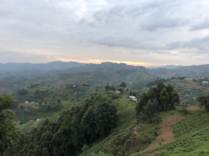 Bwindi landscape