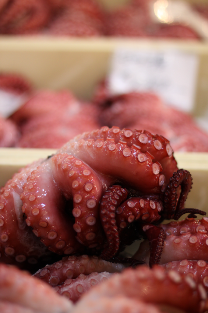 Squid in tokyo