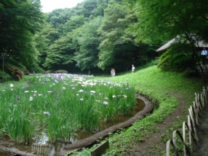 Meiji gardens