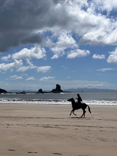 Horse on Emerald Coast of Nicaragua