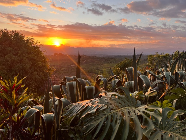 Views from Hacienda AltaGracia villa at sunset