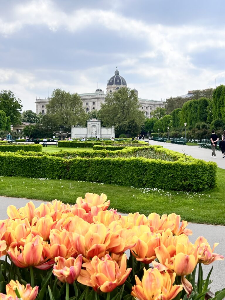 Flowers in Vienna