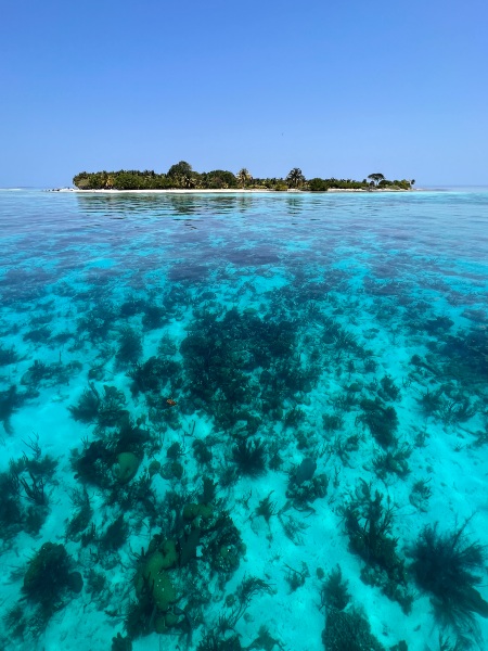 Turquoise waters of Belize