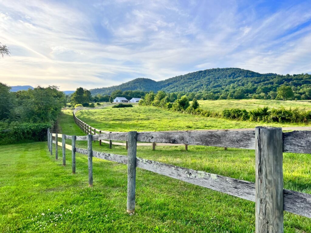 Blue Rock views of pasture