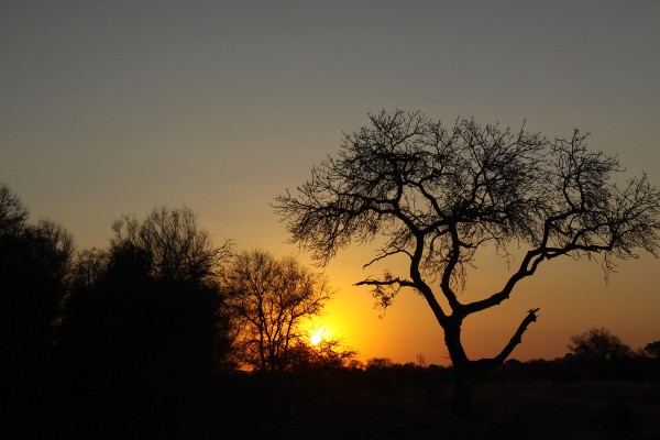 Sunset Africa