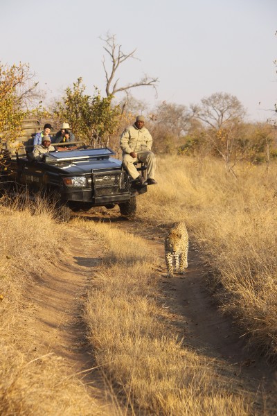 tracking in Africa