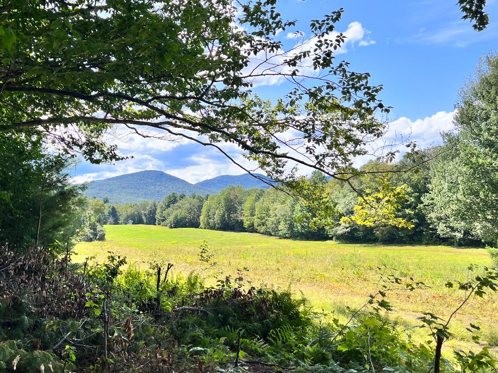 Stowe daytime view